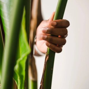 A person holding onto some green plants